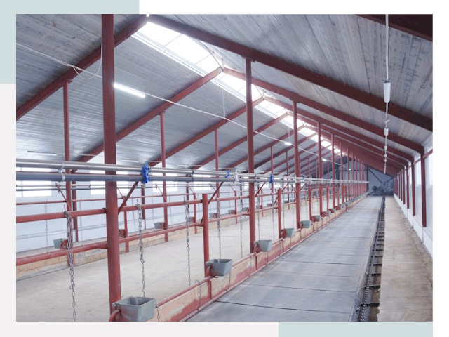 Строительство коровников в Смоленске от 615 руб.