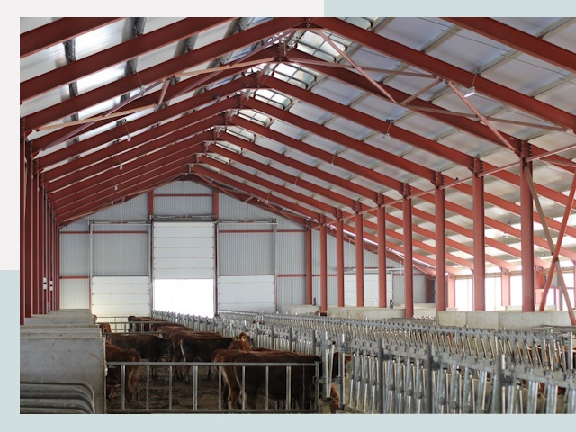 Строительство коровников в Смоленске