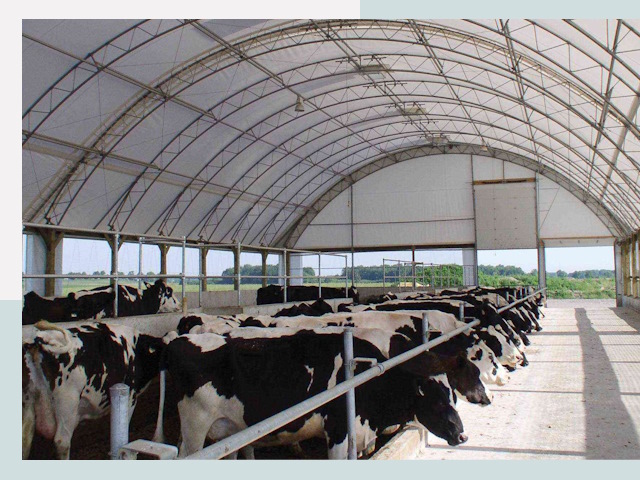 Тентовые коровники в Смоленске